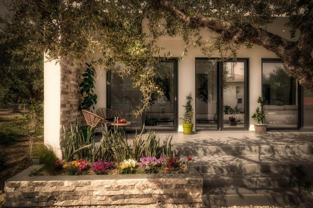公寓 Alfi's House Zakynthos *