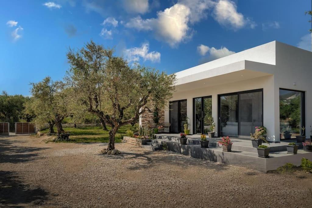 公寓 Alfi's House Zakynthos