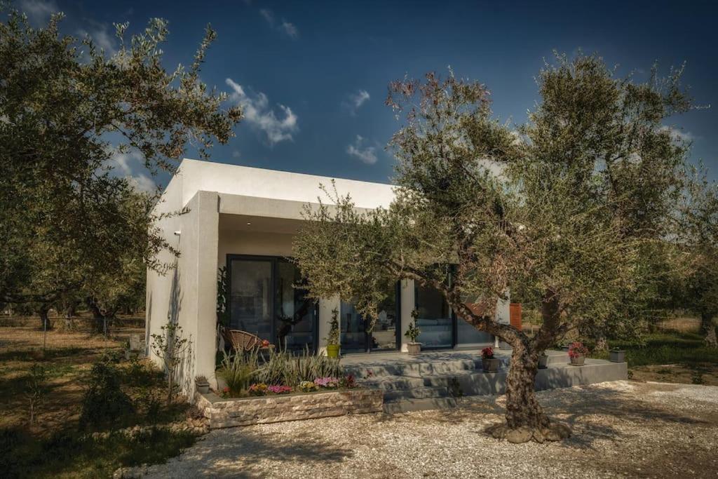 Alfi's House Zakynthos 公寓 *