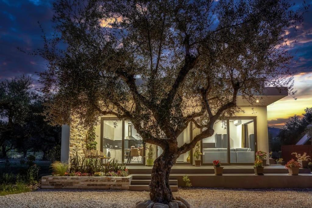 Alfi's House Zakynthos